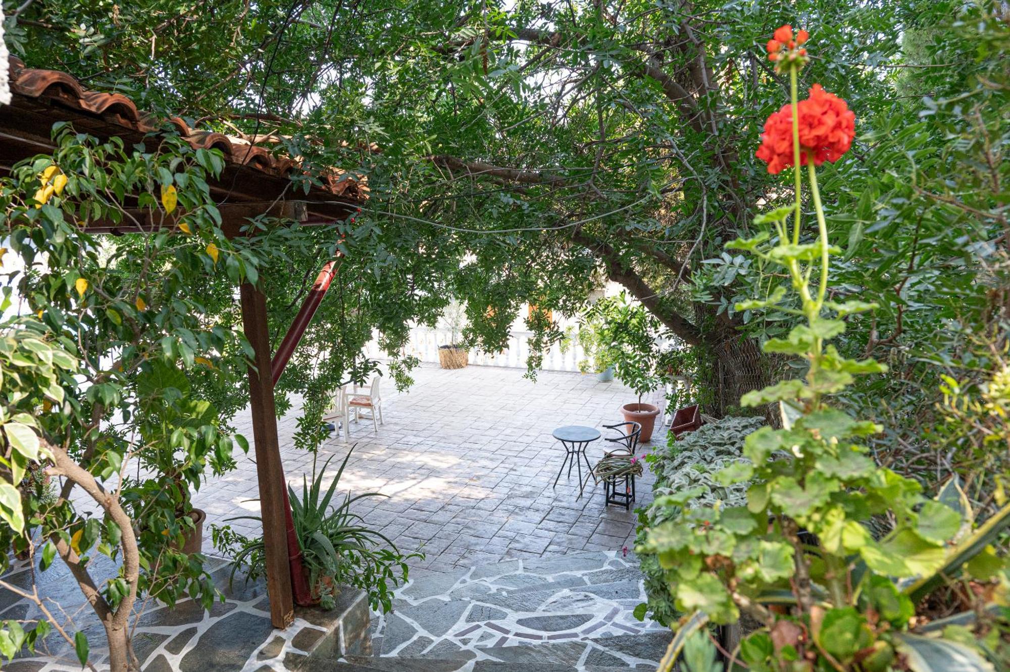 Lions 2 Studios & Apartments, Poros Island. Poros Town Bagian luar foto